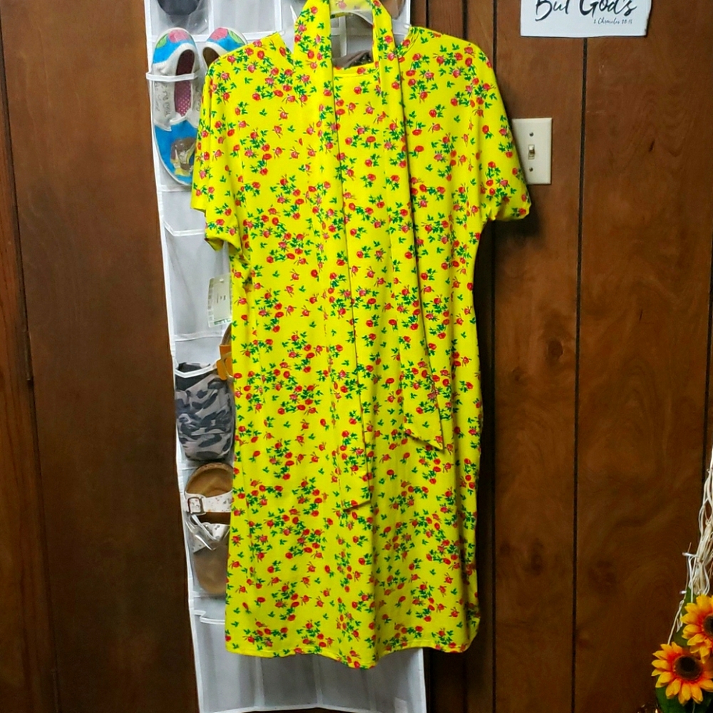 New  Lularoe Floral Marly Dress